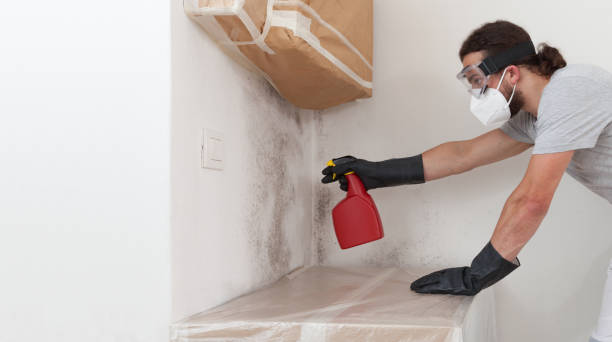 Attic Mold Remediation treatment on roof deck in Boyne City